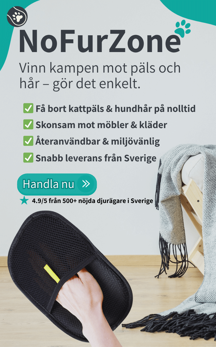 Mobil Banner