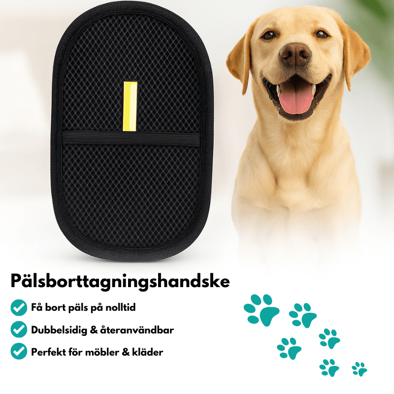Pälsborttagare för att ta bort hundhår och kattpäls från kläder, soffa & möbler